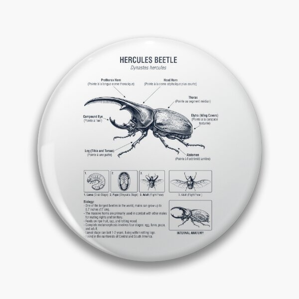 Item preview, Hercules Beetle Scientific Anatomy Biology Animal Lover designed and sold by dian-rody-crest.