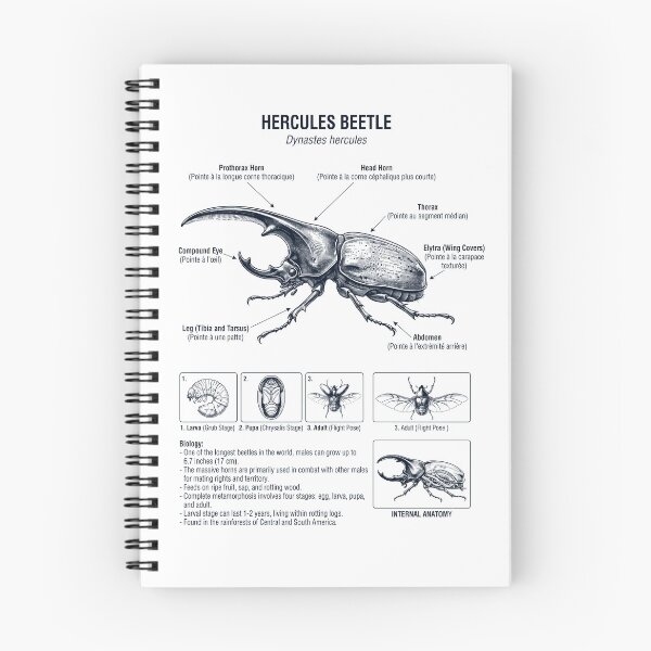 Item preview, Hercules Beetle Scientific Anatomy Biology Animal Lover designed and sold by dian-rody-crest.