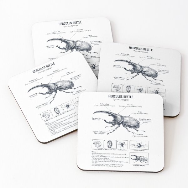 Item preview, Hercules Beetle Scientific Anatomy Biology Animal Lover designed and sold by dian-rody-crest.