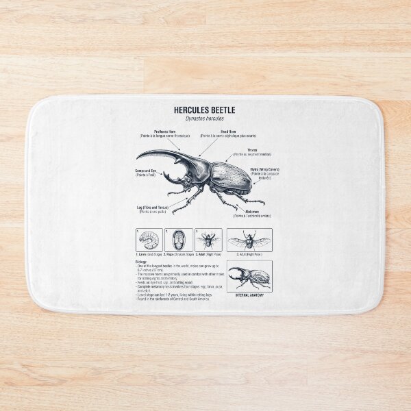 Item preview, Hercules Beetle Scientific Anatomy Biology Animal Lover designed and sold by dian-rody-crest.