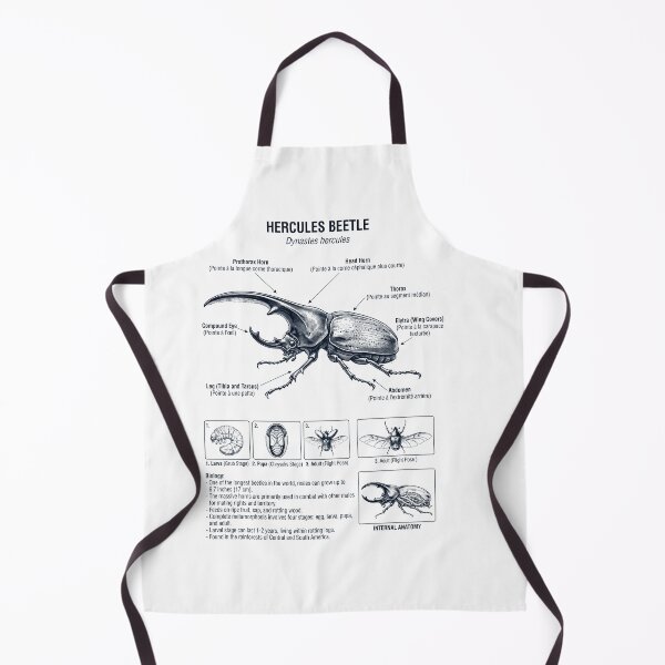 Item preview, Hercules Beetle Scientific Anatomy Biology Animal Lover designed and sold by dian-rody-crest.