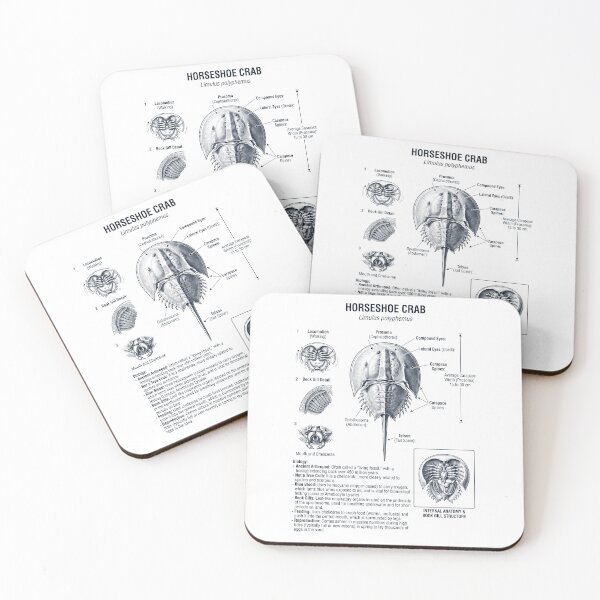 Item preview, Horseshoe Crab Scientific Anatomy Biology Animal Lover designed and sold by dian-rody-crest.