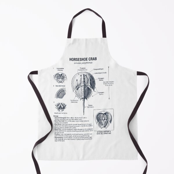 Item preview, Horseshoe Crab Scientific Anatomy Biology Animal Lover designed and sold by dian-rody-crest.
