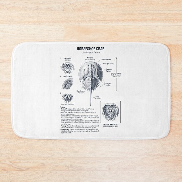 Item preview, Horseshoe Crab Scientific Anatomy Biology Animal Lover designed and sold by dian-rody-crest.