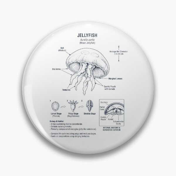 Item preview, Jellyfish Scientific Anatomy Biology Animal Lover designed and sold by dian-rody-crest.