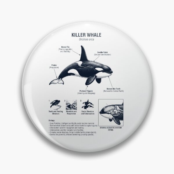 Item preview, Killer Whale Scientific Anatomy Biology Animal Lover designed and sold by dian-rody-crest.
