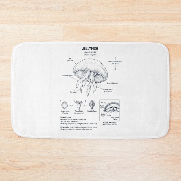 Item preview, Jellyfish Scientific Anatomy Biology Animal Lover designed and sold by dian-rody-crest.