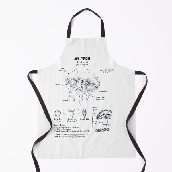 Item preview, Jellyfish Scientific Anatomy Biology Animal Lover designed and sold by dian-rody-crest.