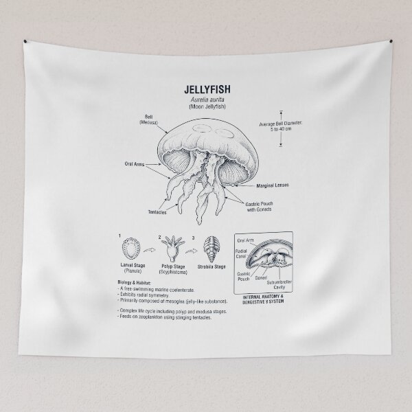 Item preview, Jellyfish Scientific Anatomy Biology Animal Lover designed and sold by dian-rody-crest.