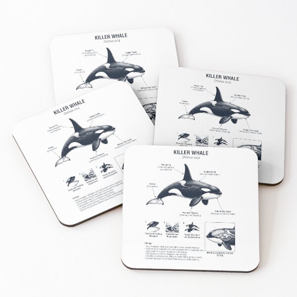 Item preview, Killer Whale Scientific Anatomy Biology Animal Lover designed and sold by dian-rody-crest.