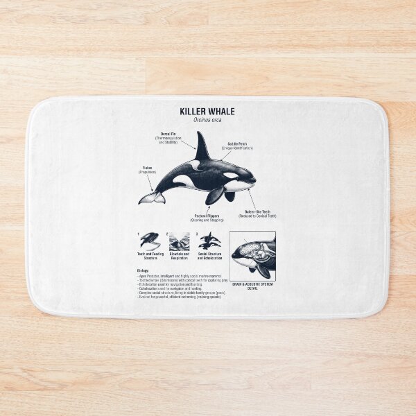 Item preview, Killer Whale Scientific Anatomy Biology Animal Lover designed and sold by dian-rody-crest.