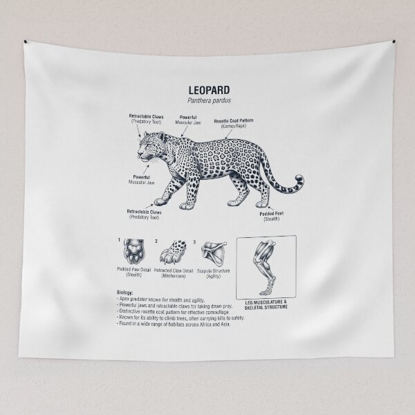 Item preview, Leopard Scientific Anatomy Biology Animal Lover designed and sold by dian-rody-crest.