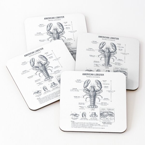Item preview, Lobster Scientific Anatomy Biology Animal Lover designed and sold by dian-rody-crest.
