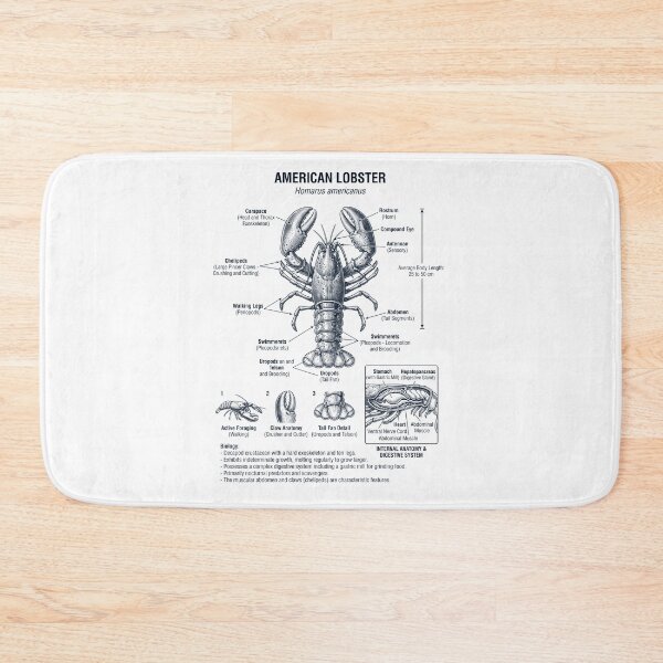 Item preview, Lobster Scientific Anatomy Biology Animal Lover designed and sold by dian-rody-crest.