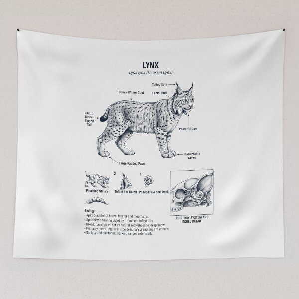 Item preview, Lynx Scientific Anatomy Biology Animal Lover designed and sold by dian-rody-crest.