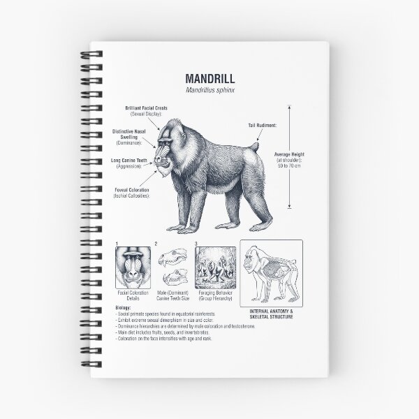 Item preview, Mandrill Scientific Anatomy Biology Animal Lover designed and sold by dian-rody-crest.