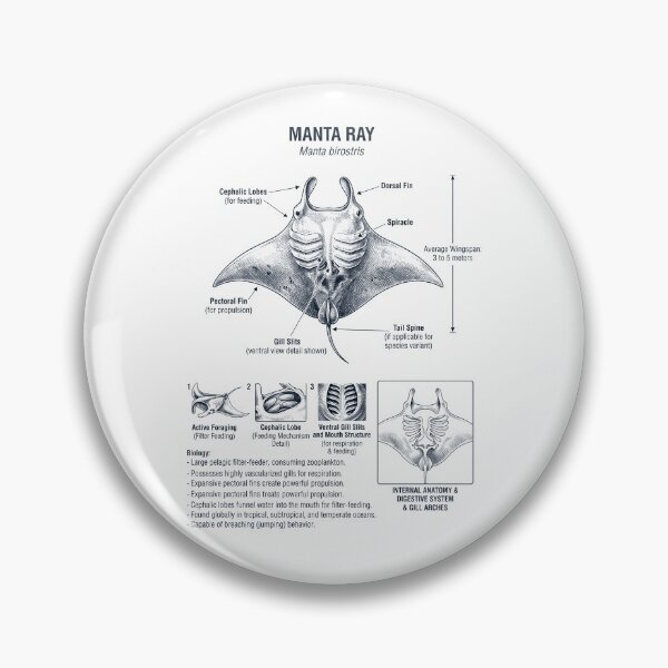 Item preview, Manta Ray Scientific Anatomy Biology Animal Lover designed and sold by dian-rody-crest.