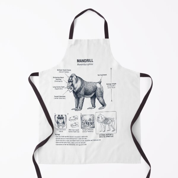 Item preview, Mandrill Scientific Anatomy Biology Animal Lover designed and sold by dian-rody-crest.
