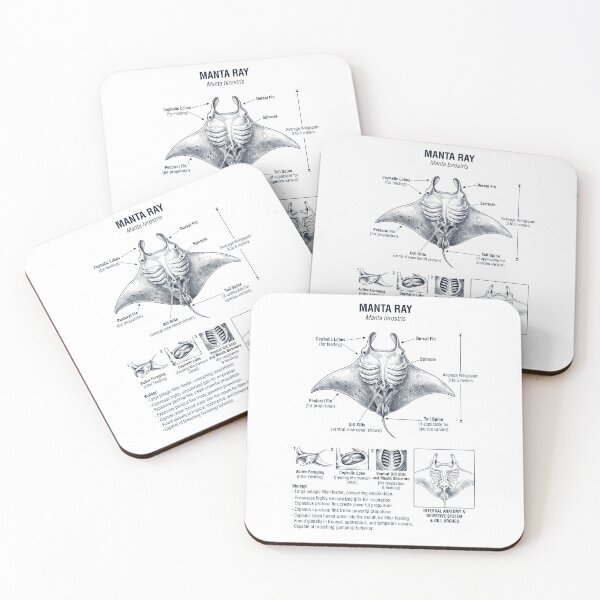 Item preview, Manta Ray Scientific Anatomy Biology Animal Lover designed and sold by dian-rody-crest.