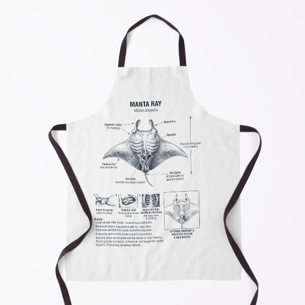 Item preview, Manta Ray Scientific Anatomy Biology Animal Lover designed and sold by dian-rody-crest.