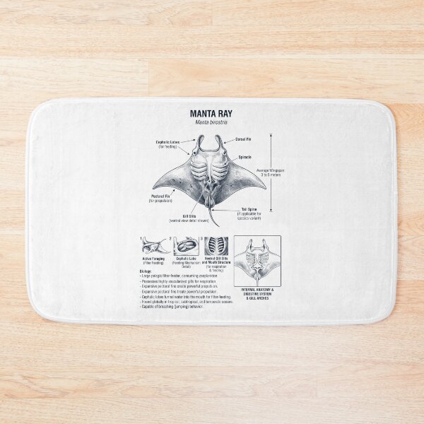 Item preview, Manta Ray Scientific Anatomy Biology Animal Lover designed and sold by dian-rody-crest.