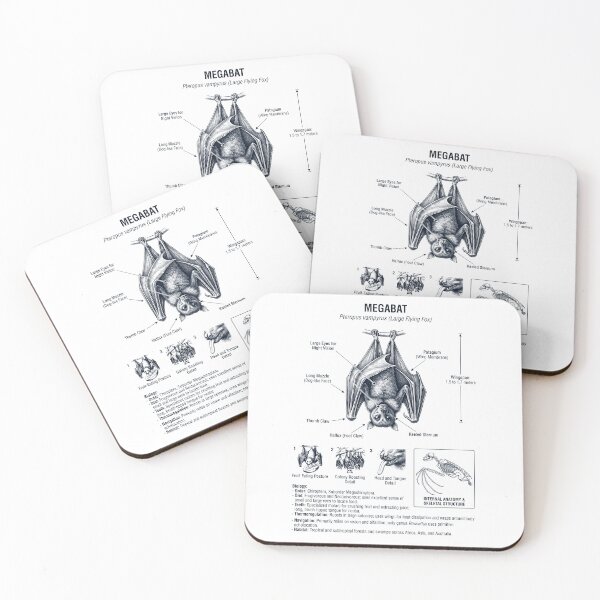 Item preview, Megabats Scientific Anatomy Biology Animal Lover designed and sold by dian-rody-crest.