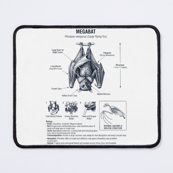 Item preview, Megabats Scientific Anatomy Biology Animal Lover designed and sold by dian-rody-crest.