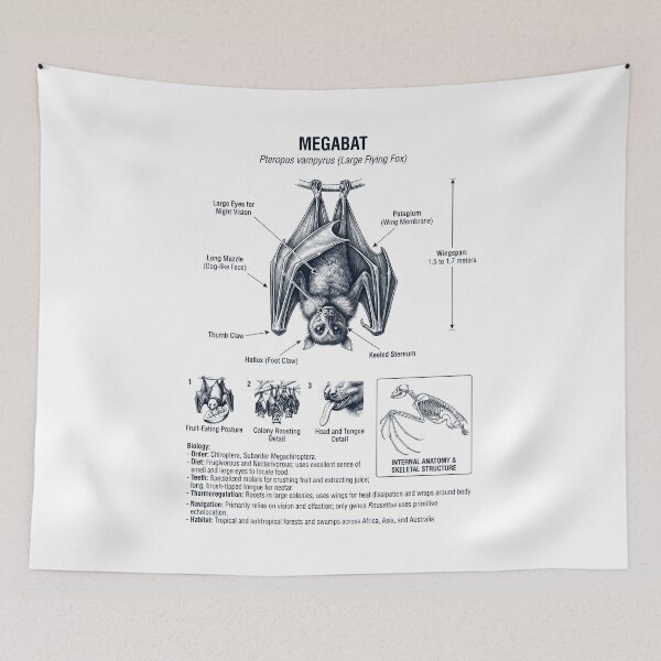 Item preview, Megabats Scientific Anatomy Biology Animal Lover designed and sold by dian-rody-crest.
