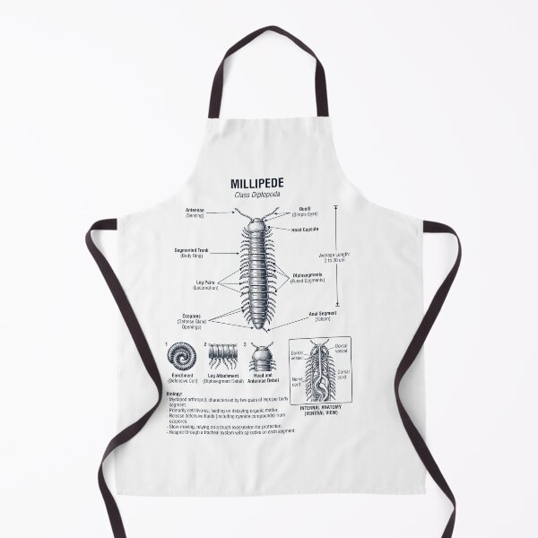 Item preview, Millipede Scientific Anatomy Biology Animal Lover designed and sold by dian-rody-crest.