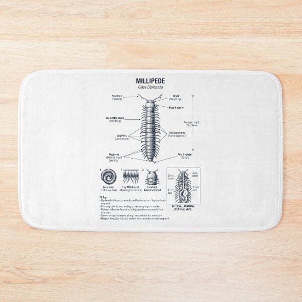 Item preview, Millipede Scientific Anatomy Biology Animal Lover designed and sold by dian-rody-crest.