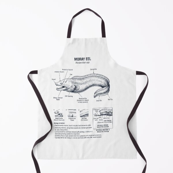 Item preview, Moray Eel Scientific Anatomy Biology Animal Lover designed and sold by dian-rody-crest.