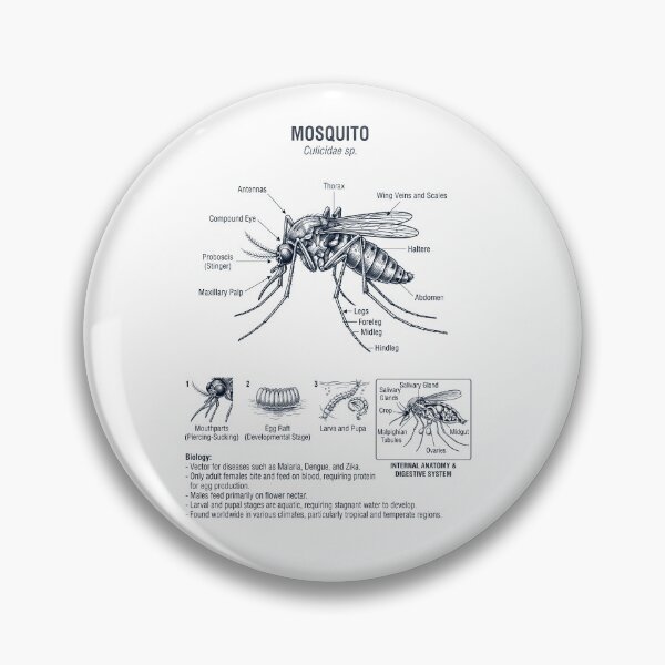 Item preview, Mosquito Scientific Anatomy Biology Animal Lover designed and sold by dian-rody-crest.