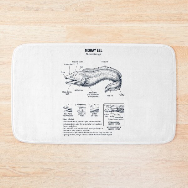 Item preview, Moray Eel Scientific Anatomy Biology Animal Lover designed and sold by dian-rody-crest.