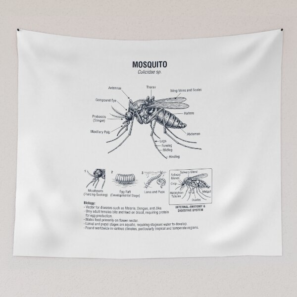 Item preview, Mosquito Scientific Anatomy Biology Animal Lover designed and sold by dian-rody-crest.