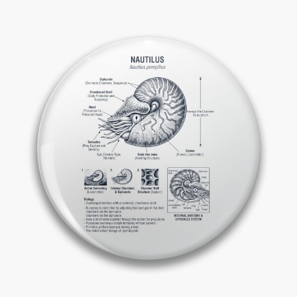 Item preview, Nautilus Scientific Anatomy Biology Animal Lover designed and sold by dian-rody-crest.