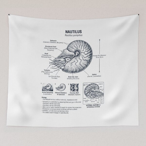 Item preview, Nautilus Scientific Anatomy Biology Animal Lover designed and sold by dian-rody-crest.