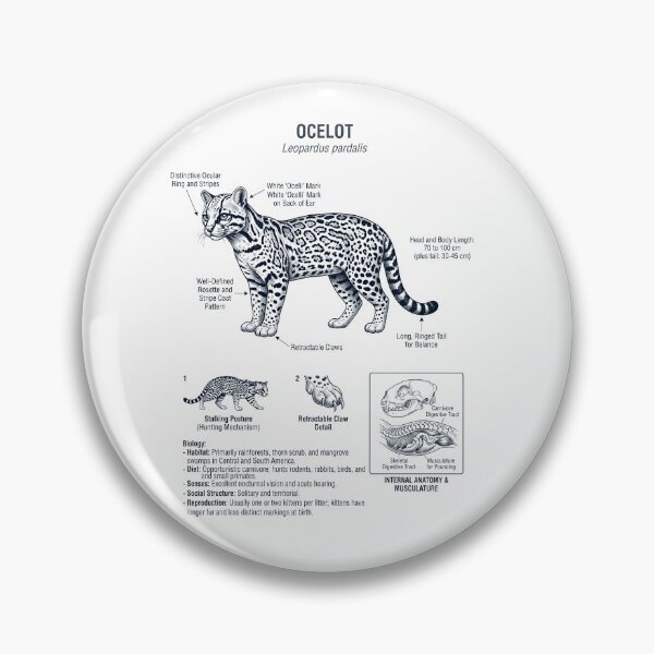 Item preview, Ocelot Scientific Anatomy Biology Animal Lover designed and sold by dian-rody-crest.