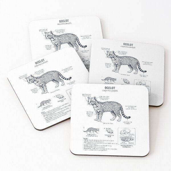 Item preview, Ocelot Scientific Anatomy Biology Animal Lover designed and sold by dian-rody-crest.