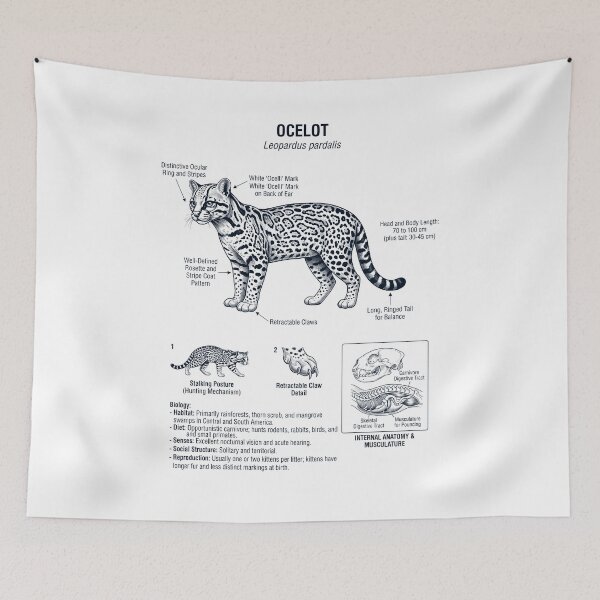 Item preview, Ocelot Scientific Anatomy Biology Animal Lover designed and sold by dian-rody-crest.