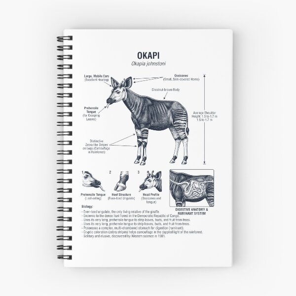 Item preview, Okapi Scientific Anatomy Biology Animal Lover designed and sold by dian-rody-crest.