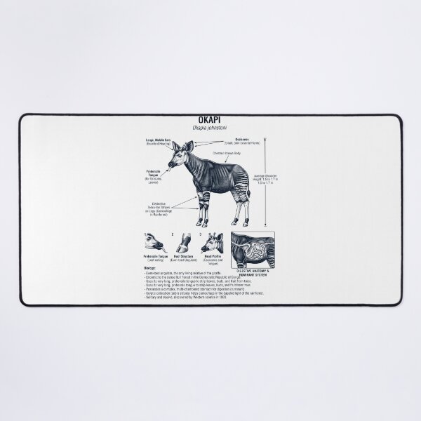 Item preview, Okapi Scientific Anatomy Biology Animal Lover designed and sold by dian-rody-crest.
