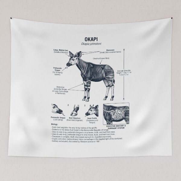 Item preview, Okapi Scientific Anatomy Biology Animal Lover designed and sold by dian-rody-crest.