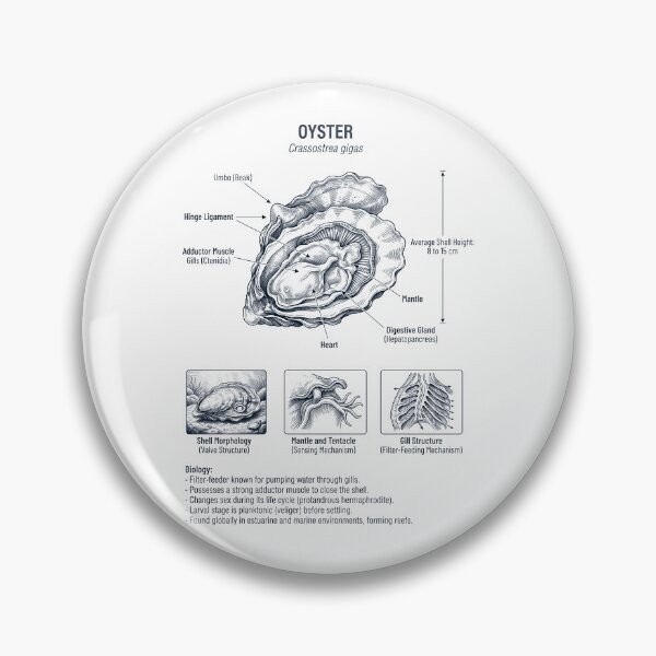 Item preview, Oyster Scientific Anatomy Biology Animal Lover designed and sold by dian-rody-crest.