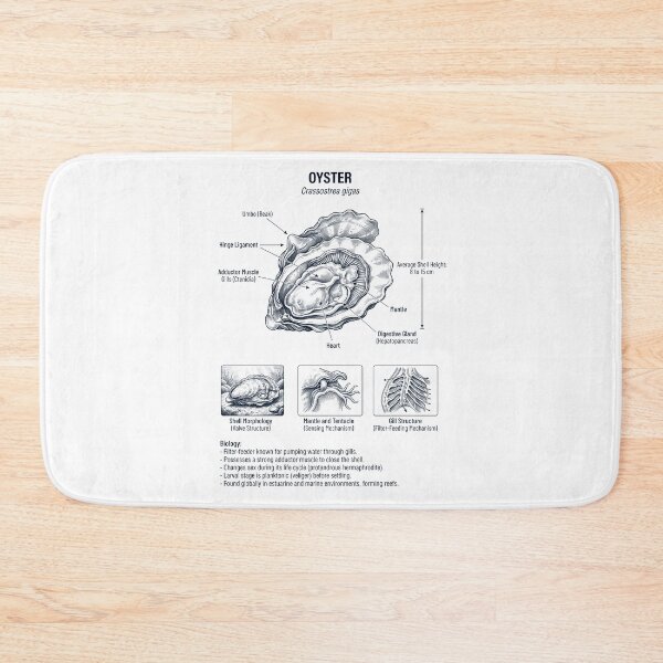 Item preview, Oyster Scientific Anatomy Biology Animal Lover designed and sold by dian-rody-crest.