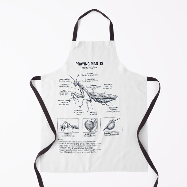Item preview, Praying Mantis Scientific Anatomy Biology Animal Lover designed and sold by dian-rody-crest.