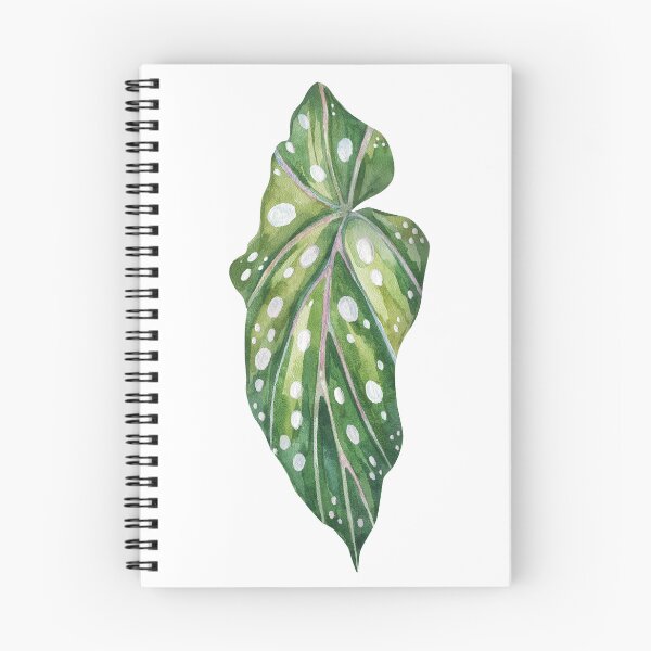 Item preview, Polka Dot Begonia Maculata Leaf Watercolor Art designed and sold by the-myro.