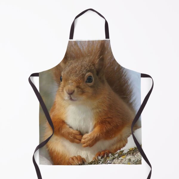 Item preview, Cute Red Squirrel in Winter Snow , Wildlife Nature Photography designed and sold by alcame-photo.