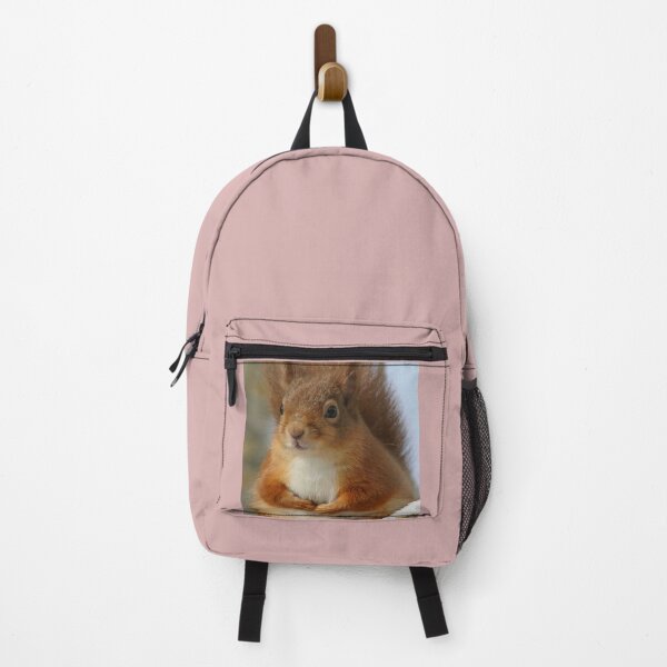 Item preview, Cute Red Squirrel in Winter Snow , Wildlife Nature Photography designed and sold by alcame-photo.