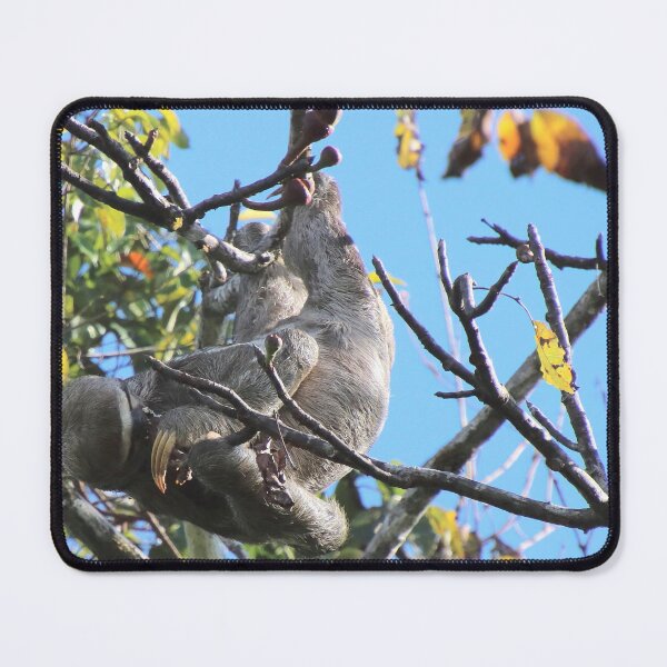 Item preview, Hanging in the Sunlight designed and sold by Melville.Collective.