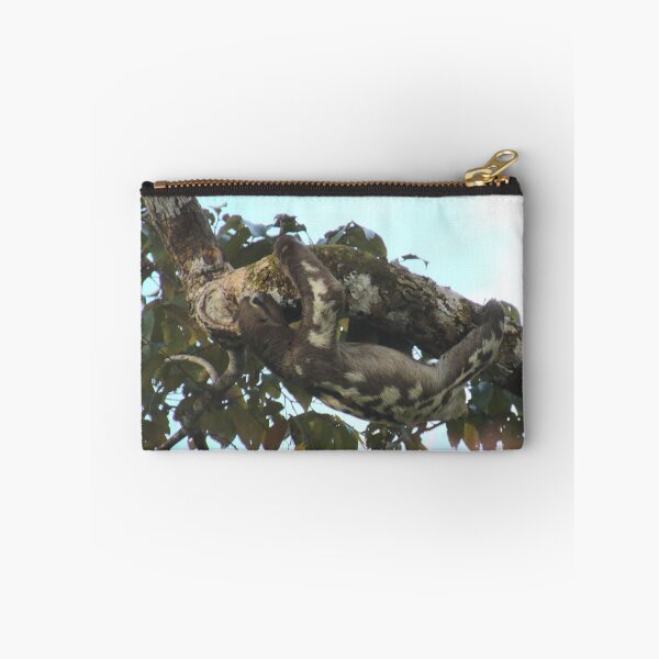 Item preview, Sloth designed and sold by Melville.Collective.
